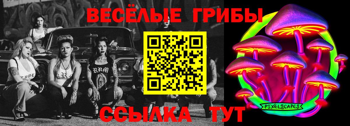Псилоцибиновые грибы Psilocybine cubensis  Вход с VPN  что такое   Нововоронеж  Псилоцибиновые грибы мухоморы 